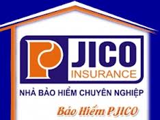 lo go công ty cổ phần bảo hiểm pjico,bảo hiểm pjico,giới thiệu bảo hiểm pjico