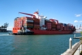 mẫu đơn bảo hiểm vỏ container