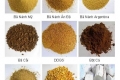 Bảo hiểm hàng hóa thức ăn chăn nuôi 