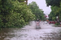 Bảo hiểm giông bão lũ
